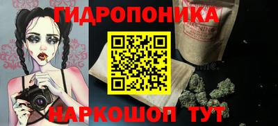 PSILOCYBIN Кинель