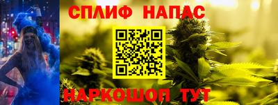 PSILOCYBIN Кинель