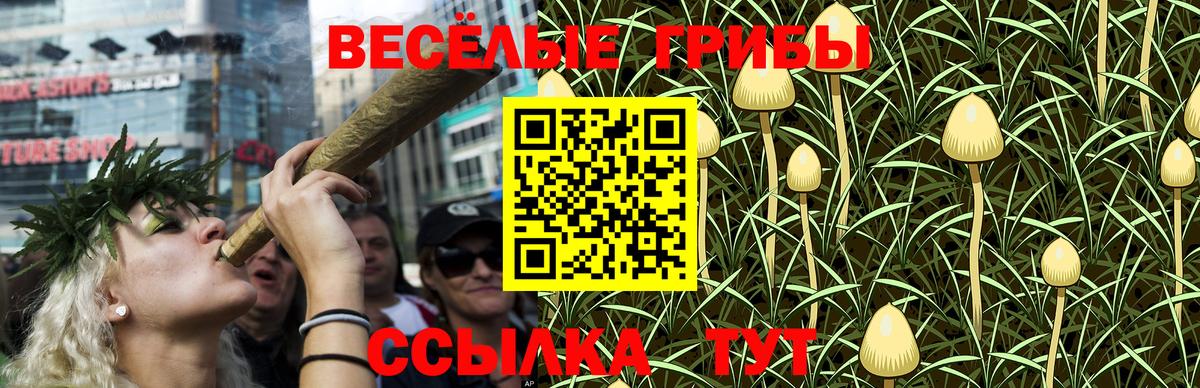 Галлюциногенные грибы ЛСД Урай