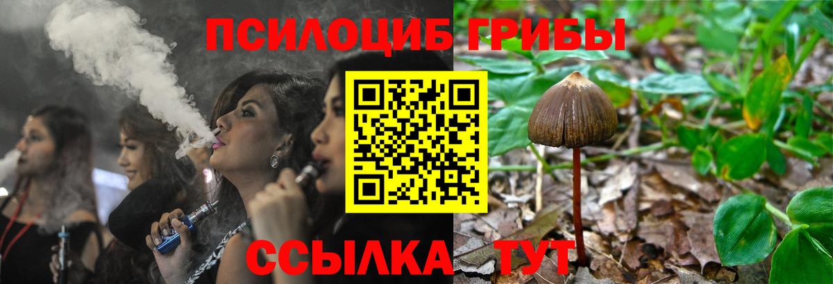 закладка  Вход с VPN  Урай  Псилоцибиновые грибы мицелий 